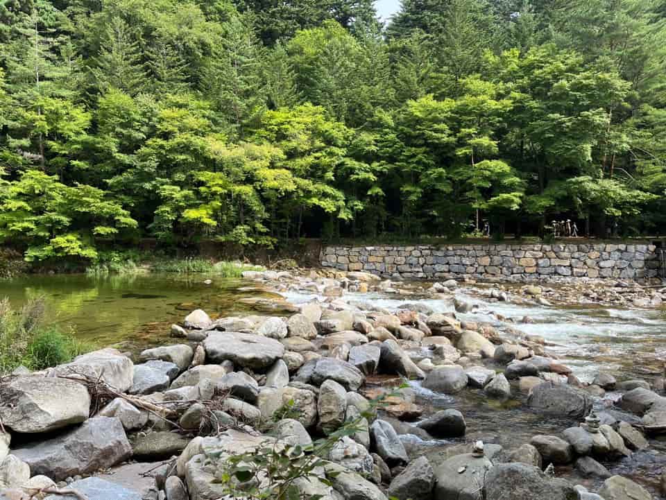 월정사 계곡