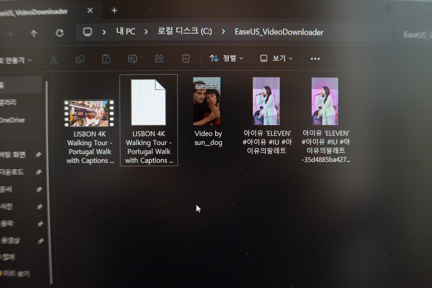 유튜브 동영상 다운로드 프로그램 이지어스 비디오 다운로더