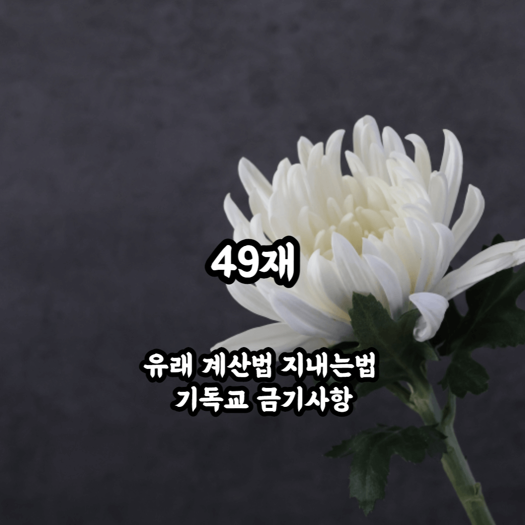 49재 블로그 썸네일