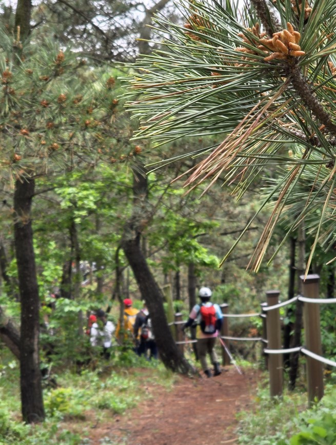 태안 서해랑길 완주 원정대 서해랑길 72코스