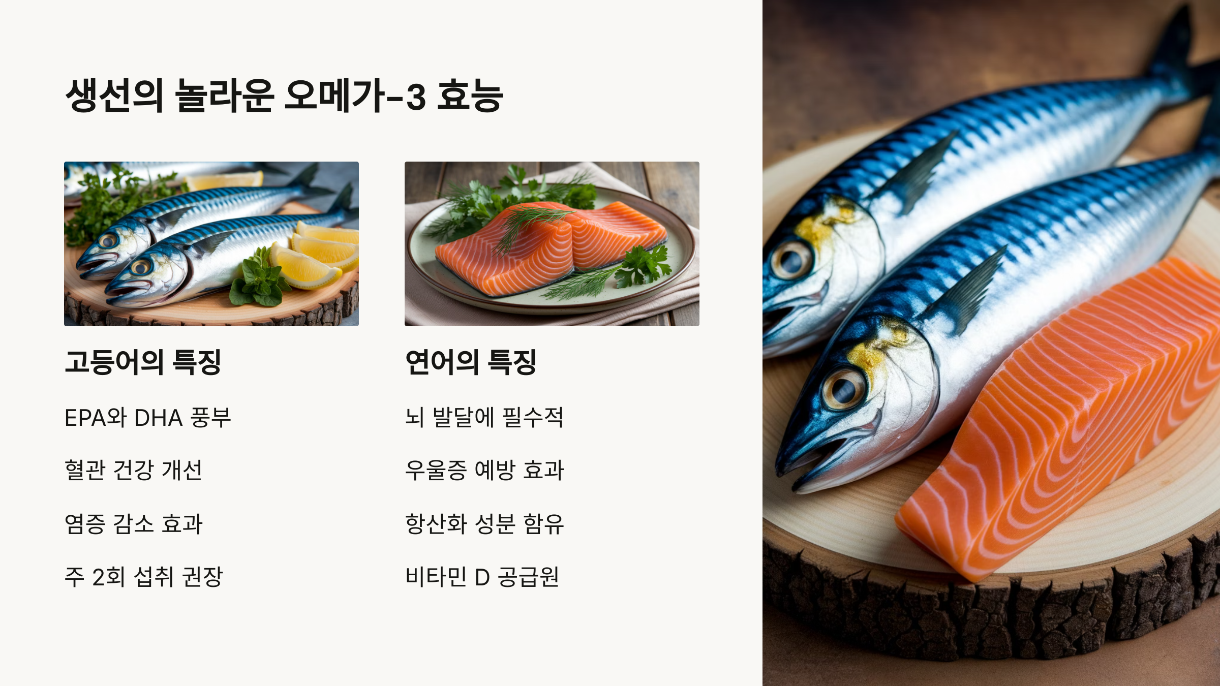 뇌를 젊게 유지 하려고 먹는 음식들