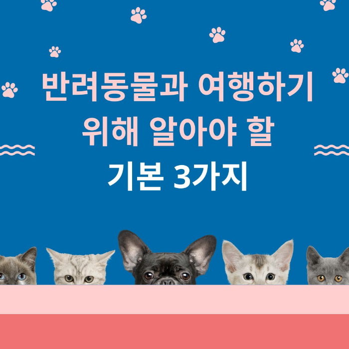 반려동물과/여행하기/위해/알아야/할/기본