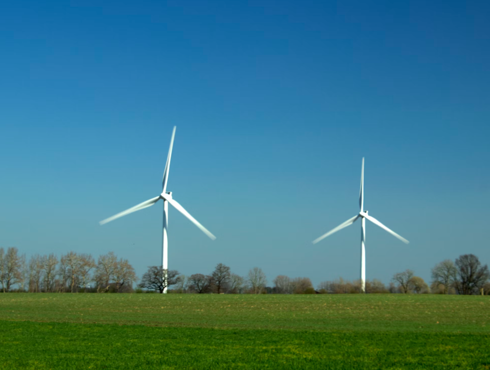 탄소중립포인트제 관련 이미지