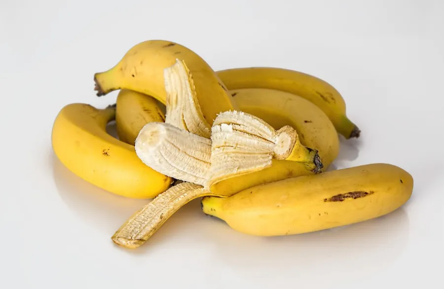 여름철 장염 예방법 - 6