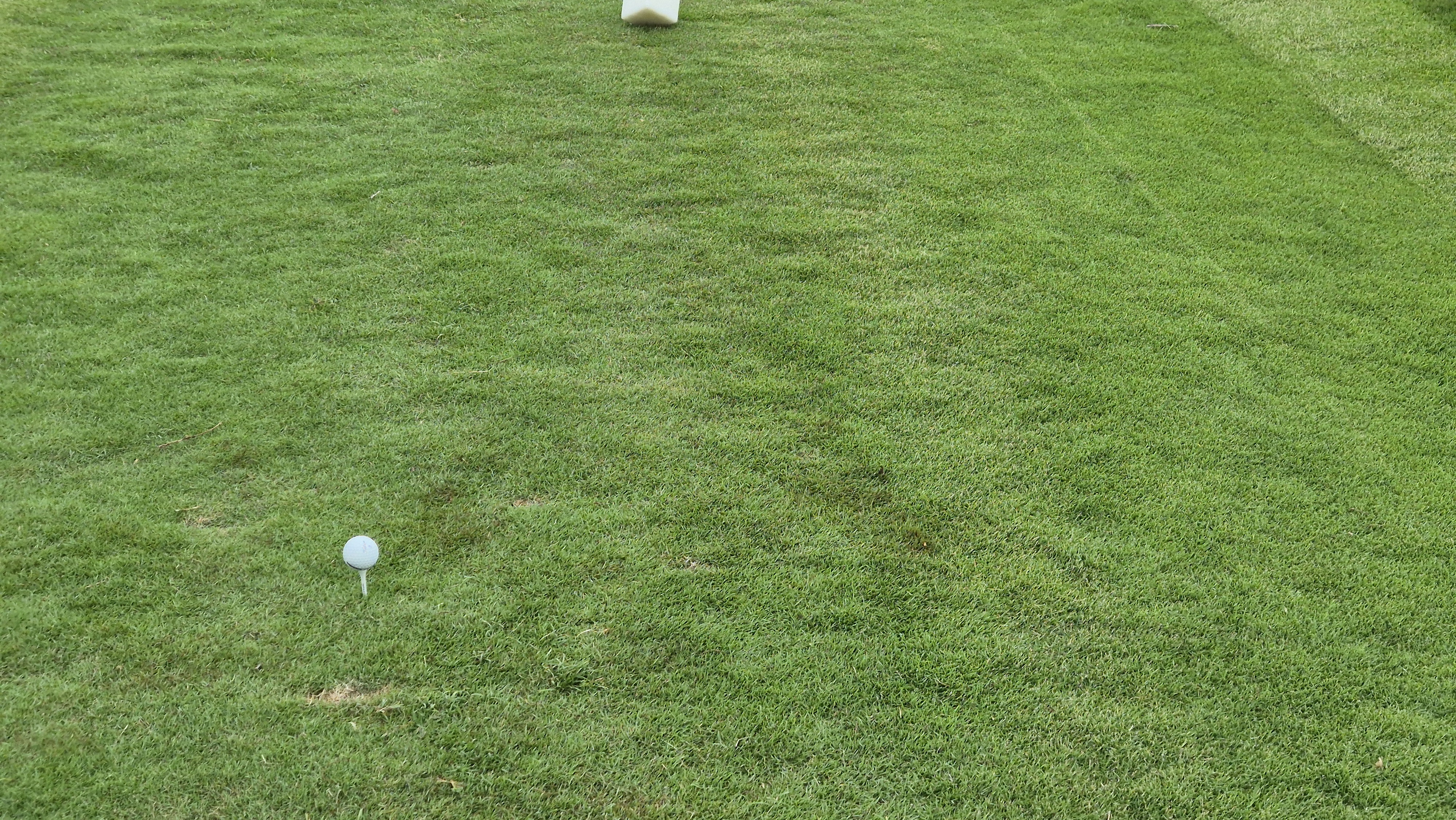 코랄오션cc 골프 라운드