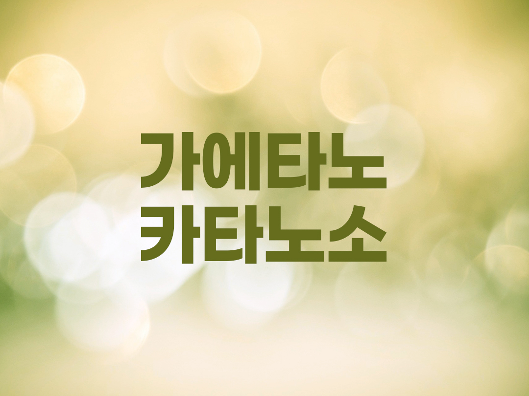 가에타노 카타노소 천주교 남자세례명