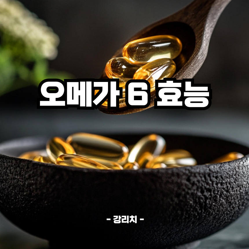 오메가6 효능
