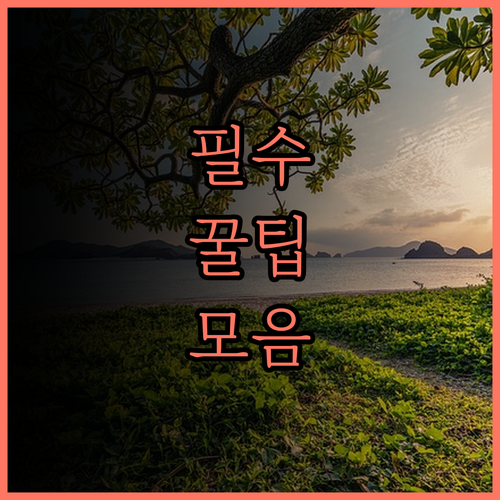 마자와 시아르가오, 조식 없는 숙소.