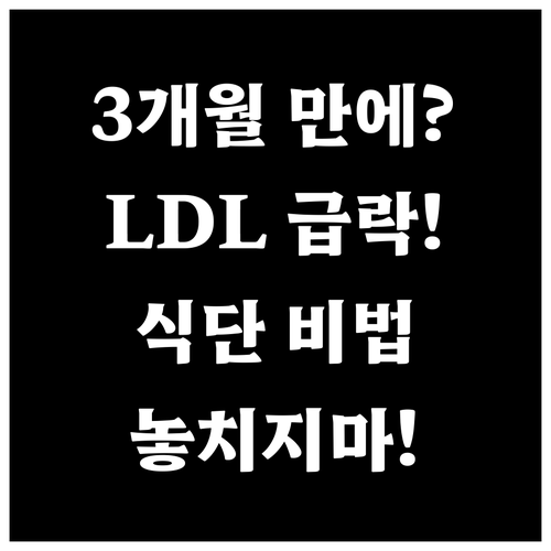 3개월 안에 LDL을 낮춘다! 콜레스..