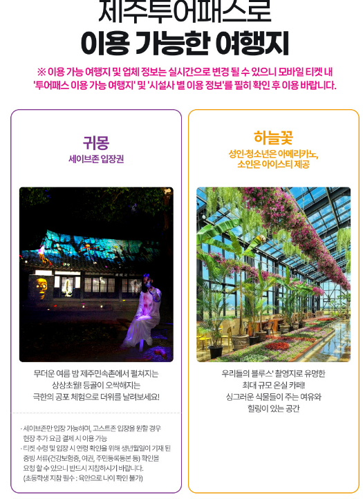 제주도 투어패스 사진