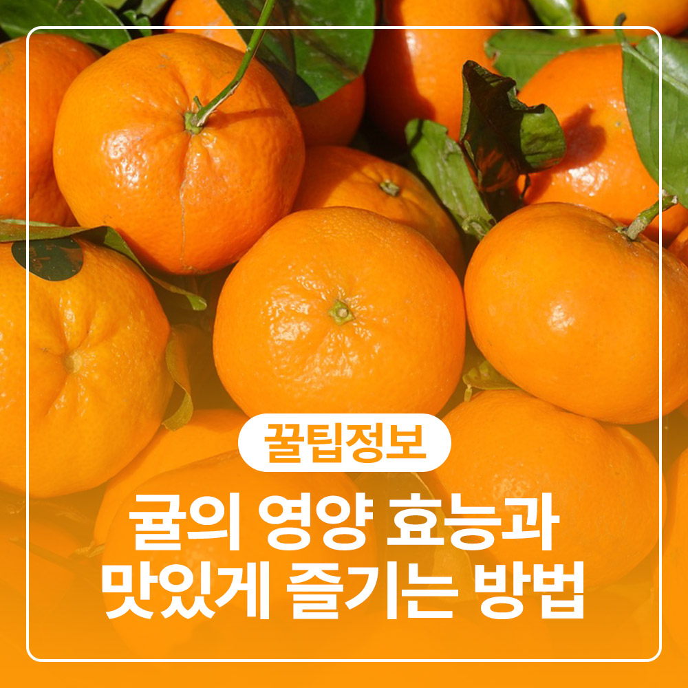 귤의효능과맛있게먹는방법