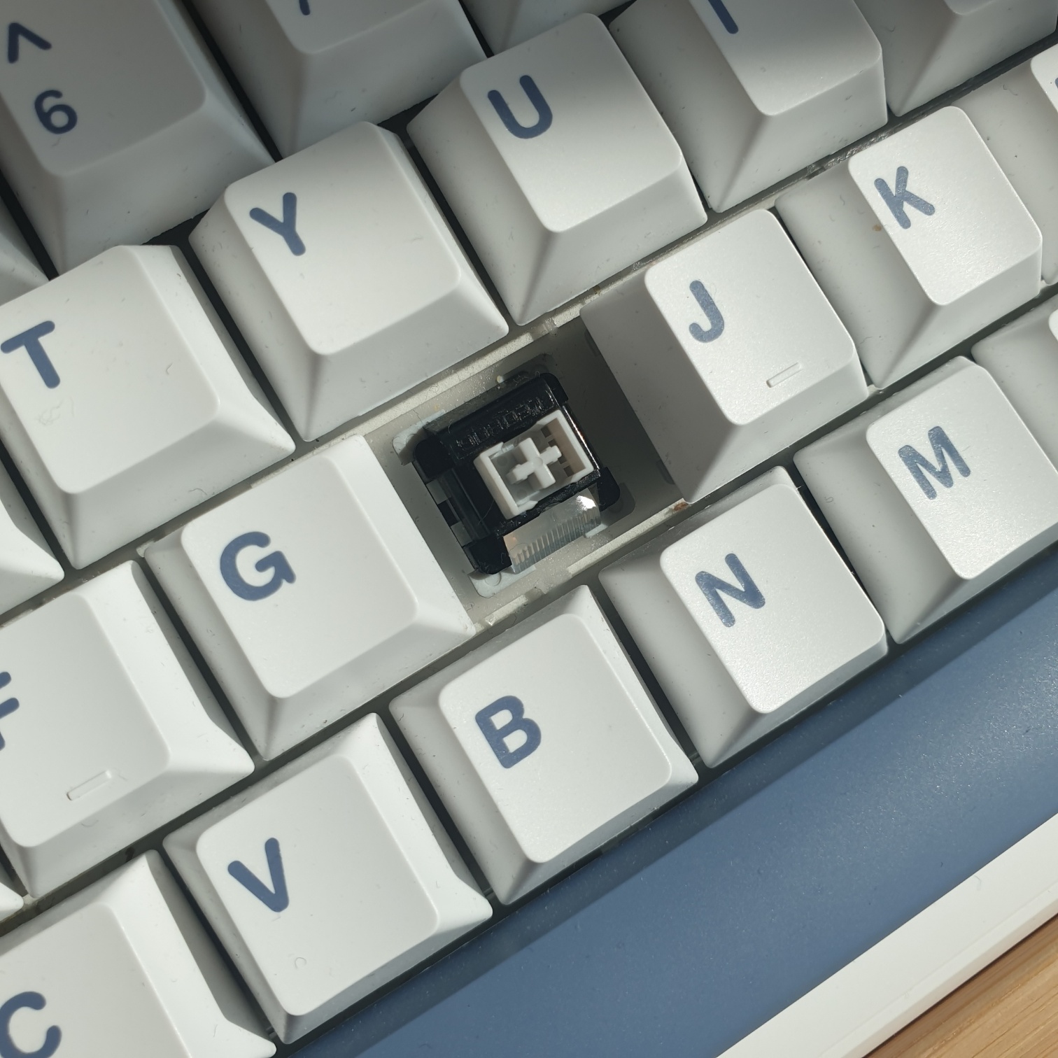 그레이축-설명-사진