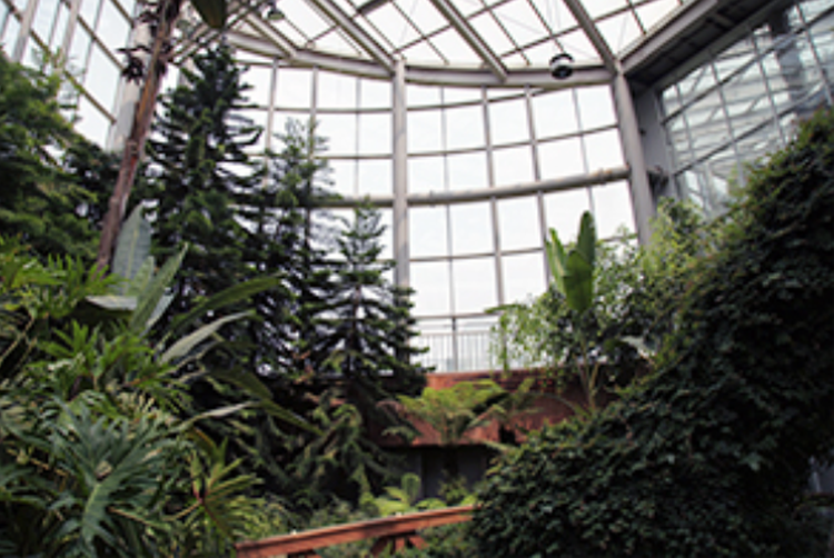 부천 자연생태공원