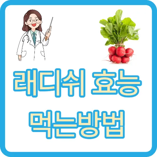 래디쉬 효능 레디쉬 먹는방법
