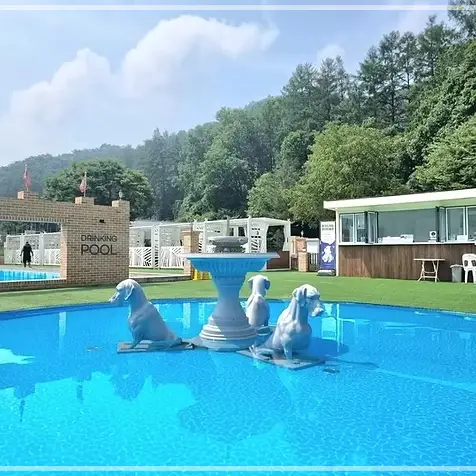 집-나가면-개호강-장소-팔레드-차밍-애견-동반-리조트