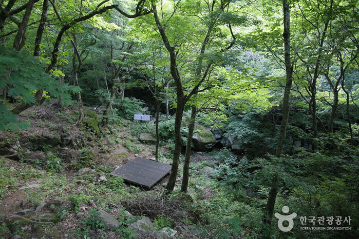 함양 가볼만한곳 베스트 10