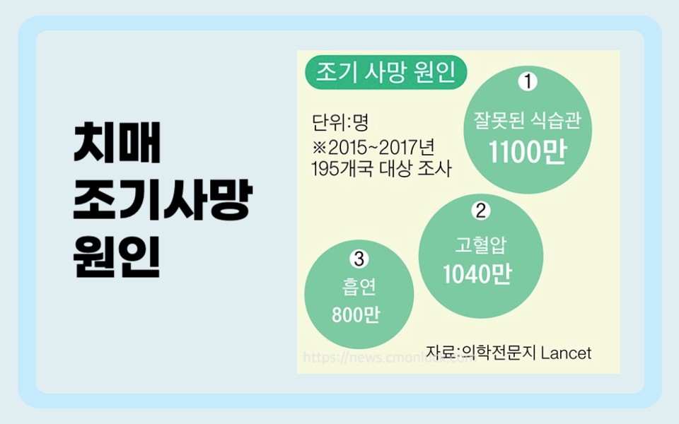 치매에 좋은 음식