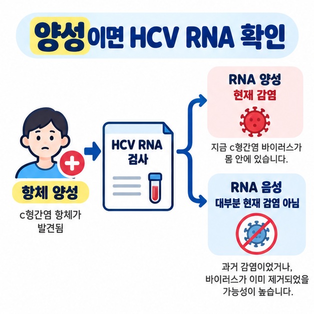 항체 양성 뒤 HCV RNA 검사를 통해 현재 감염 여부를 확인하는 검사 순서 카드