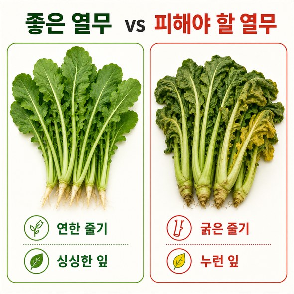 열무김치 맛있게 담그기