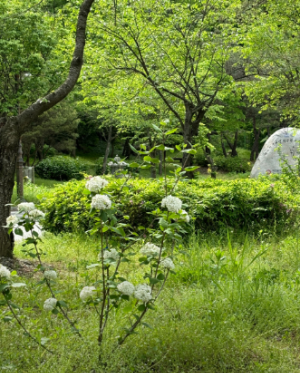 부처님오신날유명사찰