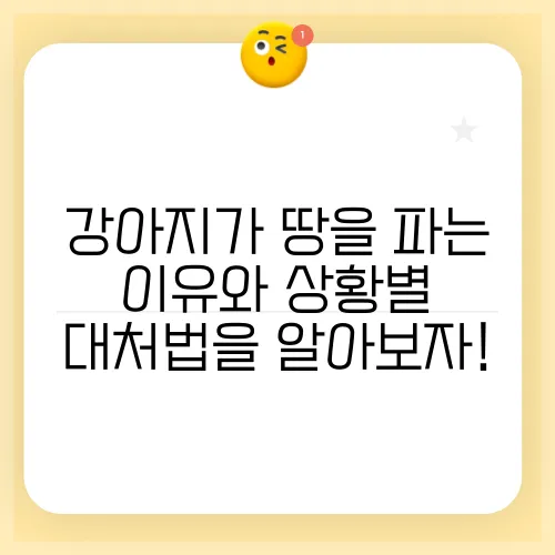 강아지가 땅을 파는 이유와 상황별 대처법을 알아보자!