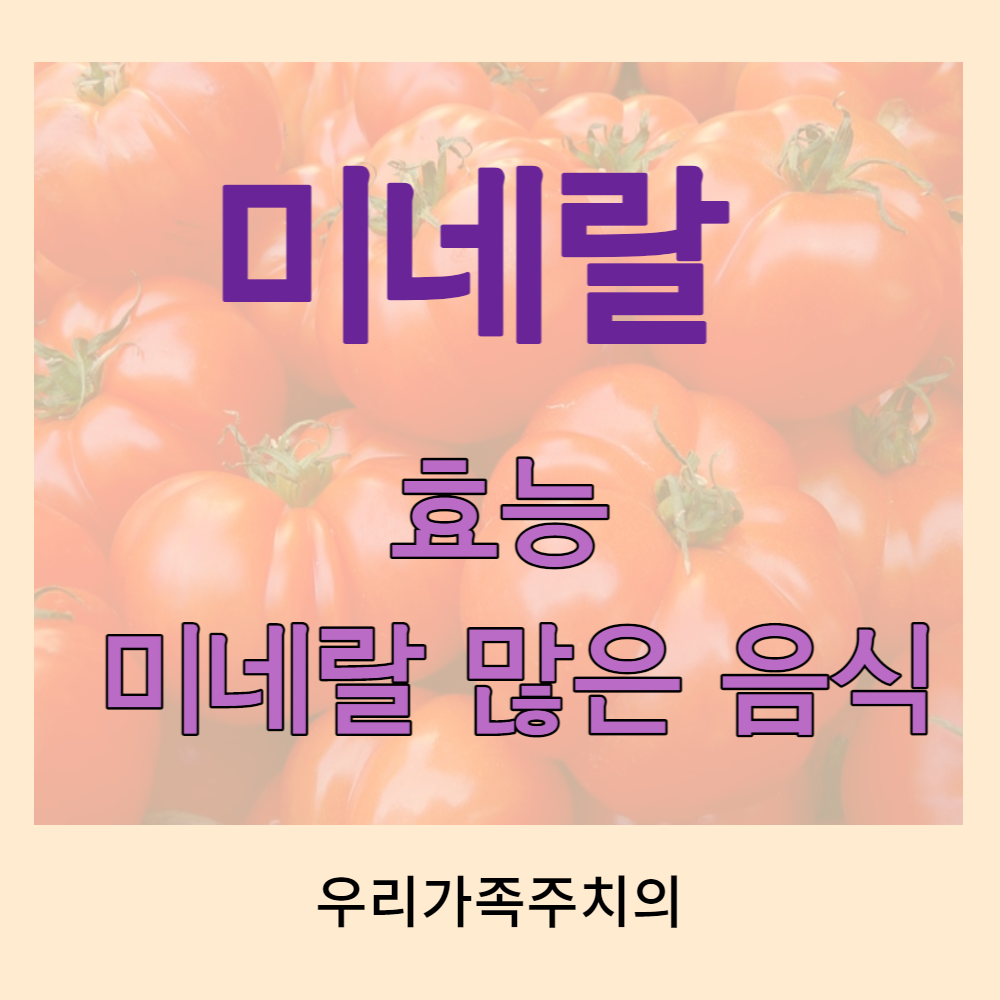 미네랄의-효능