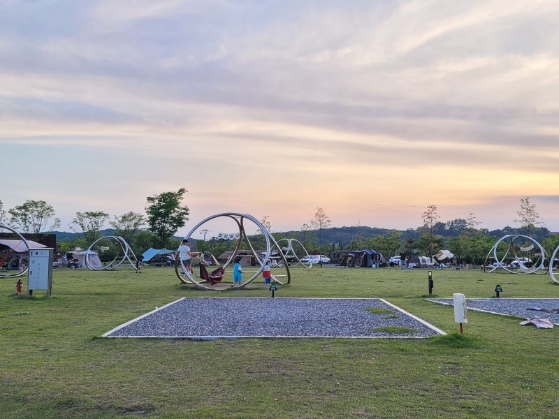 임진각평화누리캠핑장 예약