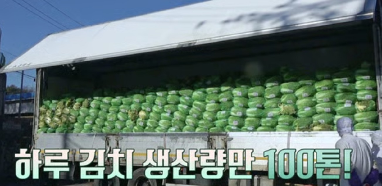 박미희-김치-도미솔김치