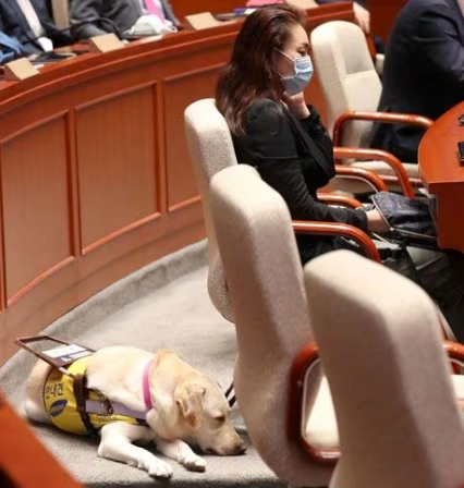 김예지 국회의원 프로필 나이 고향 학력 재산