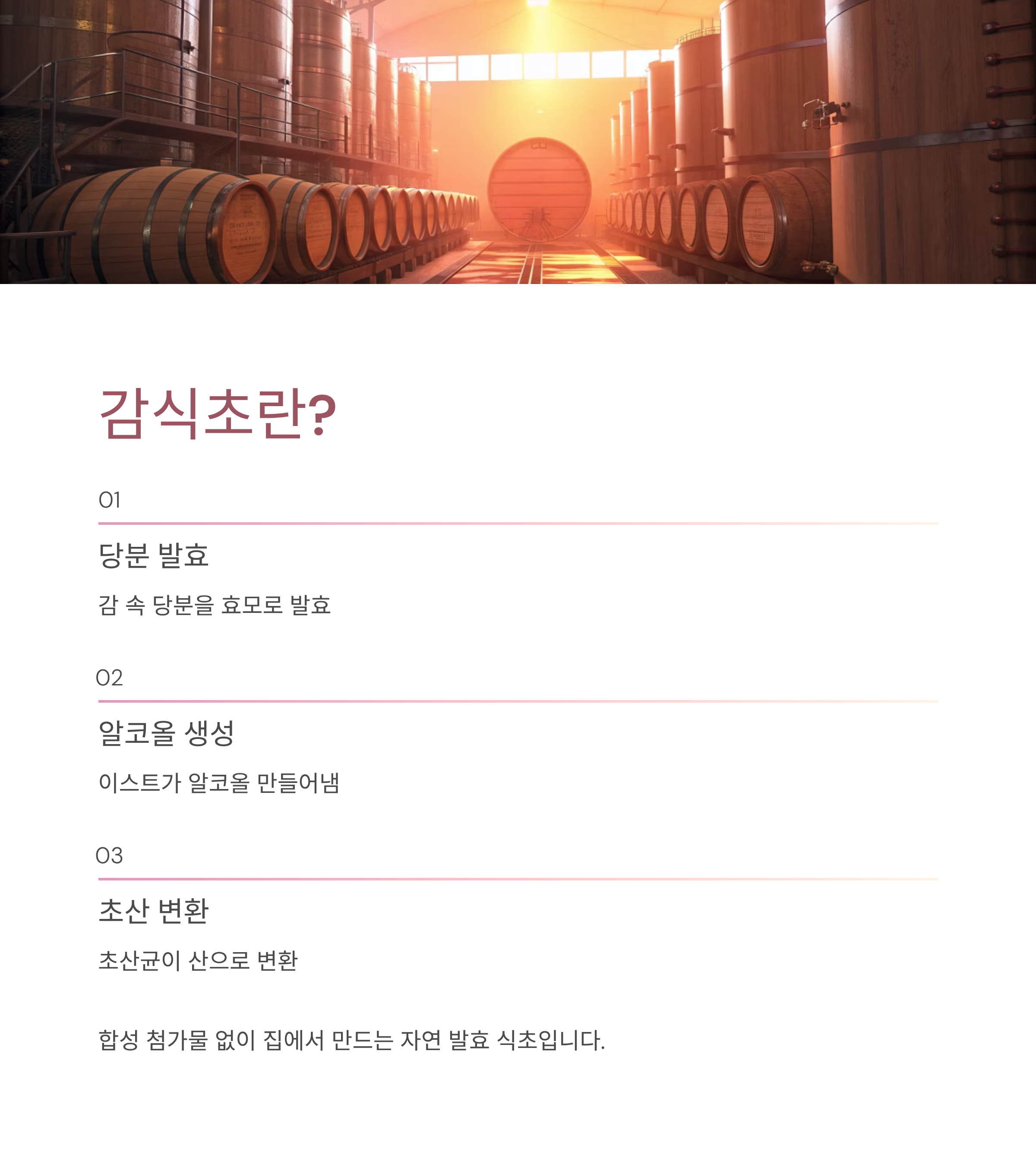 감식초 쉽게 만드는법: 집에서 천연 발효로 건강하게 만드는 완벽 가이드