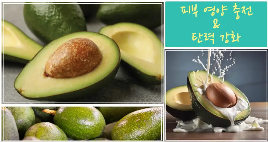 아보카도 &ndash; 피부 영양 충전 &amp; 탄력 강화