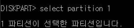 새로 생성한 파티션 선택