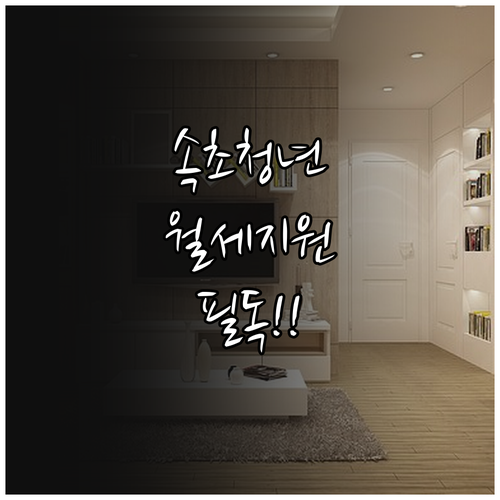 속초시 청년월세 한시 특별지원 소득 ..