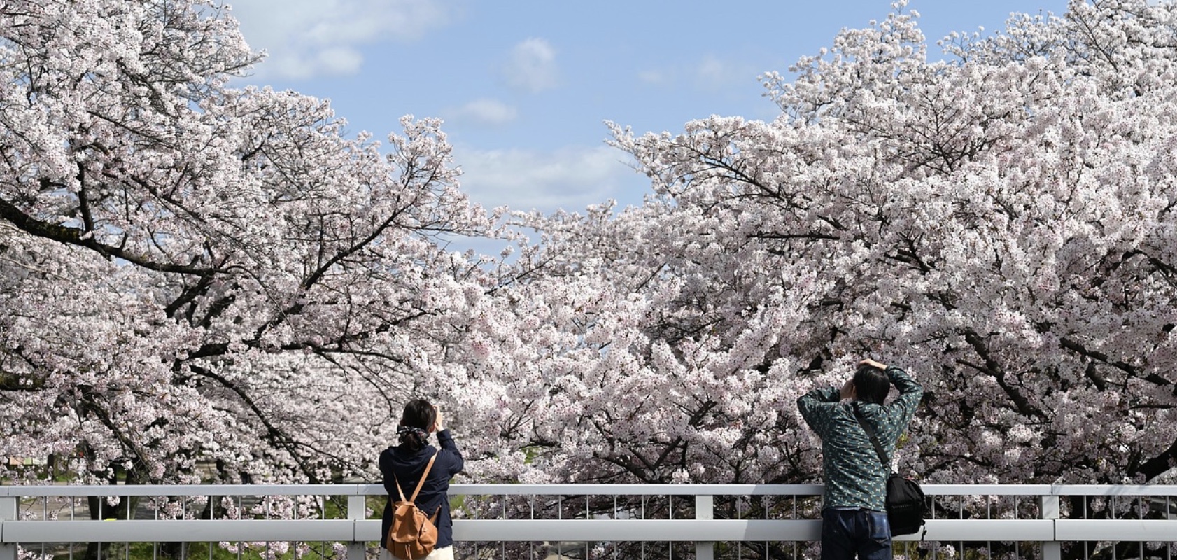 차박하면서 봄 피크닉 관련사진