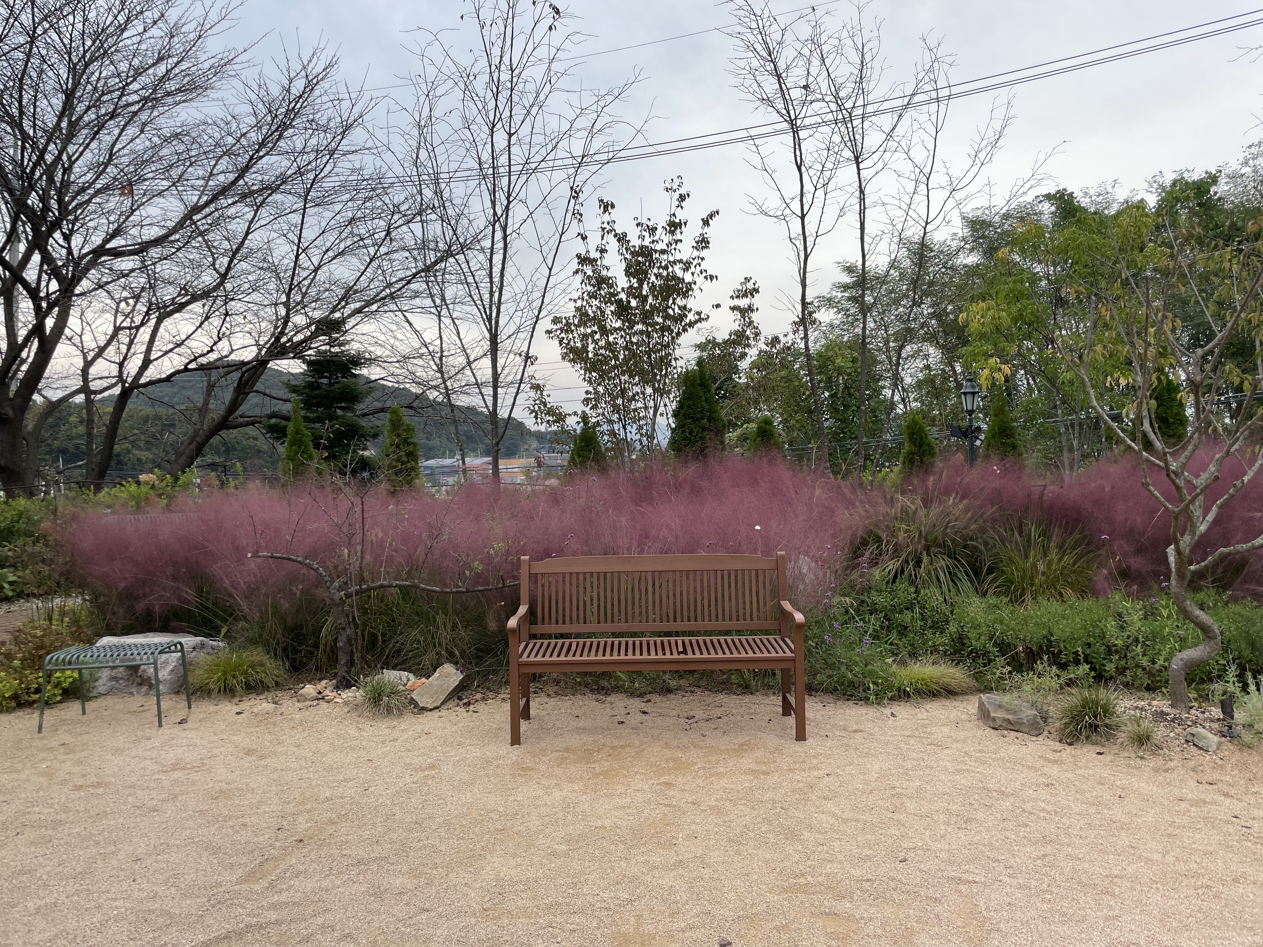 김포 한강뷰 대형카페 아보고가