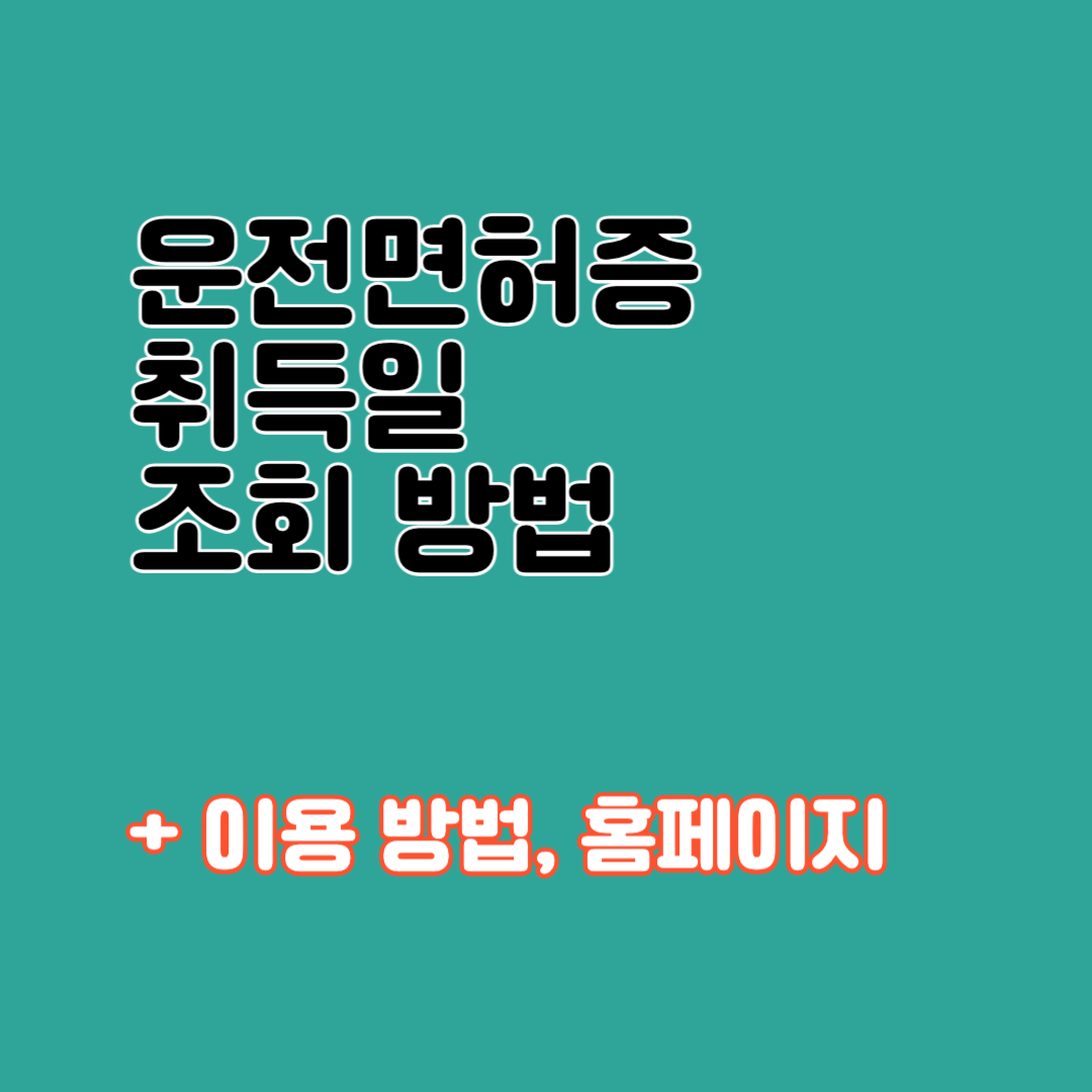 운전면허증 취득일 조회