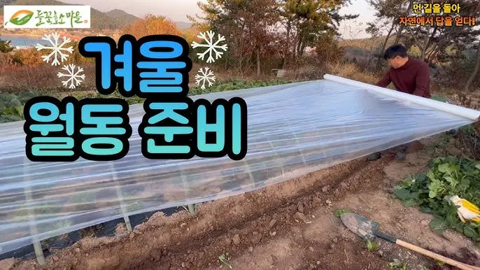 겨울 월동 준비 보온자재 덮개 동해 예방 물주기 조절_3
