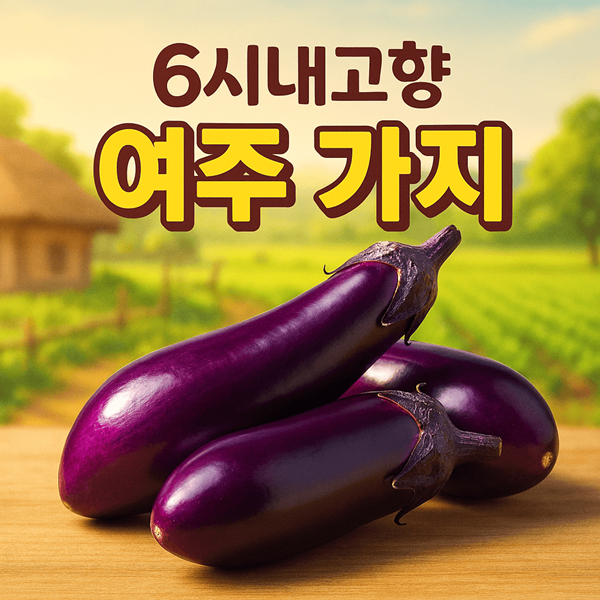 6시내고향 여주 가지 썸네일