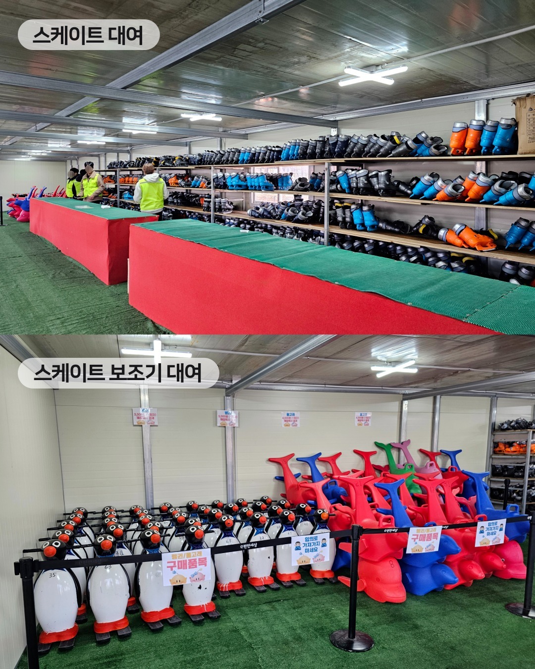 대전 엑스포 스케이트장