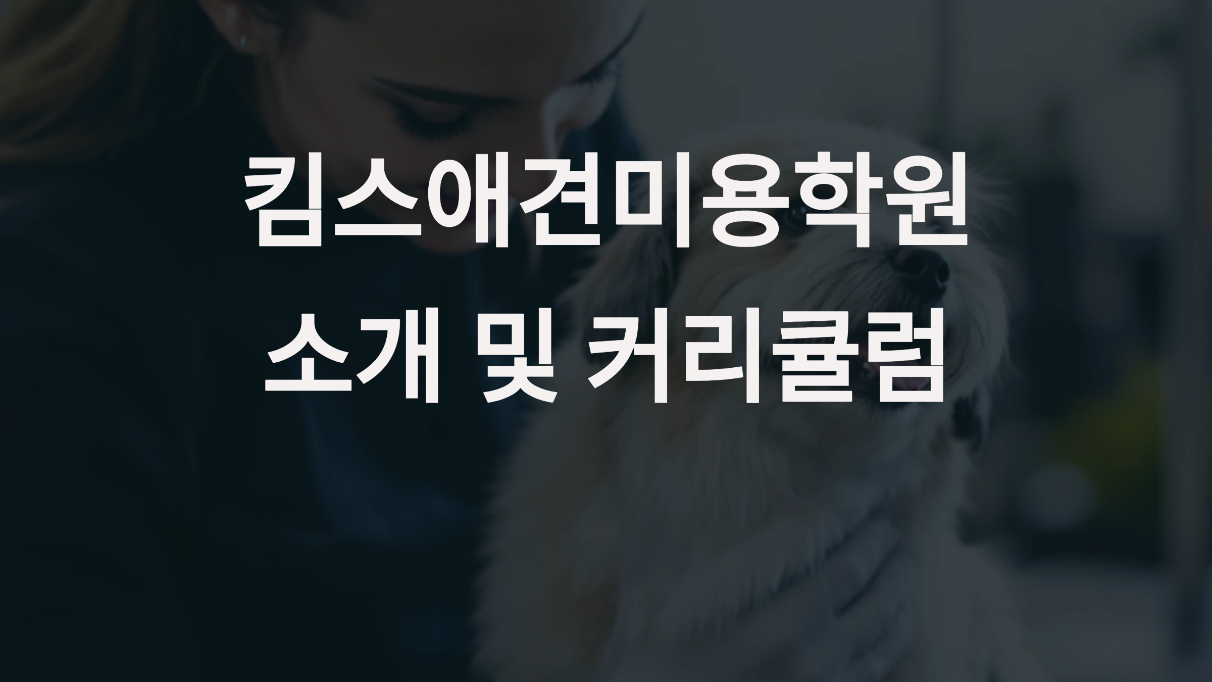 애견미용, 반려동물, 애견미용사, 강아지미용, 자격증, 실습, 창업, 취업, 교육, 애견샵