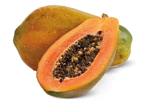 파파인 효소 부작용