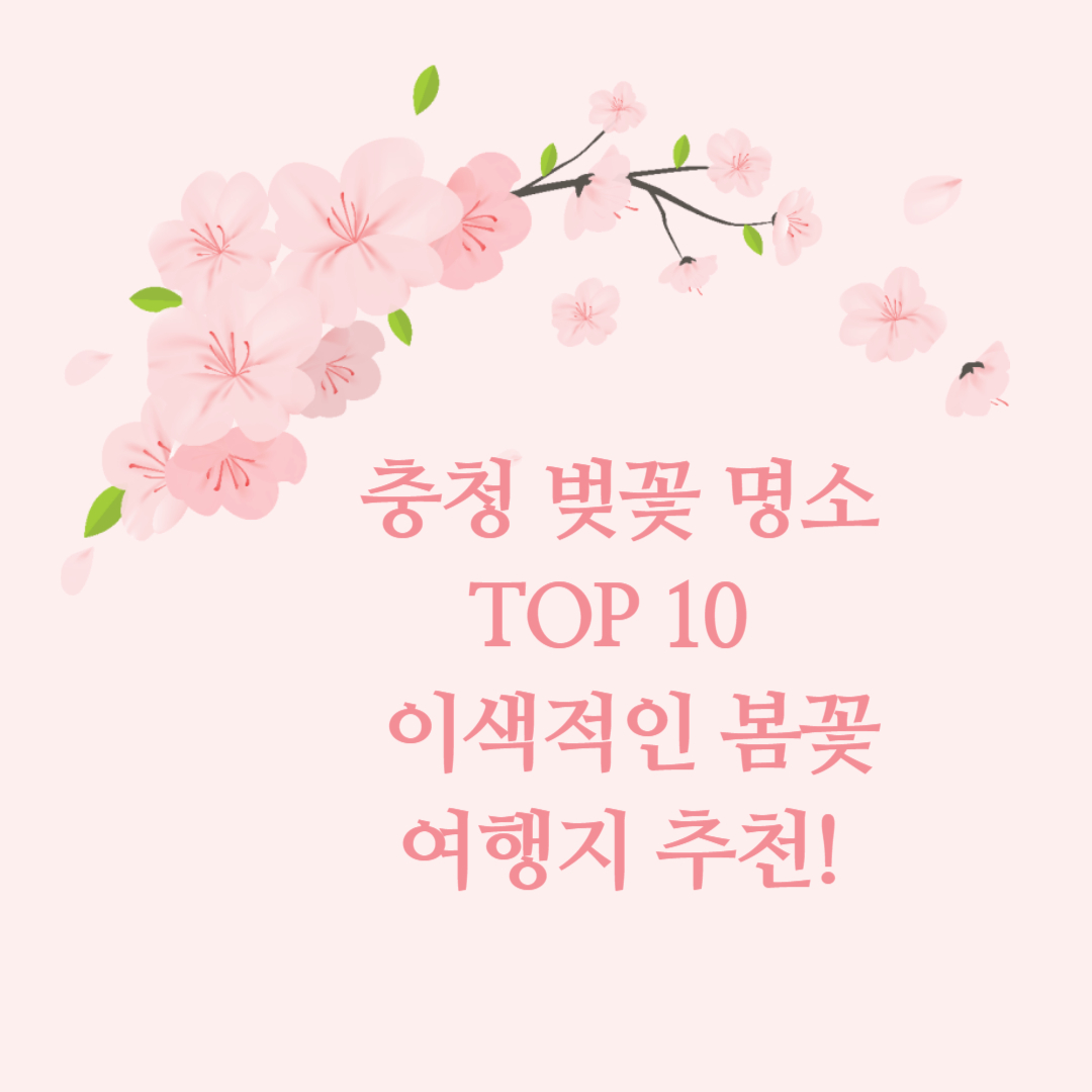 충청 벚꽃 명소 TOP 10 이색적인 봄꽃 여행지 추천!