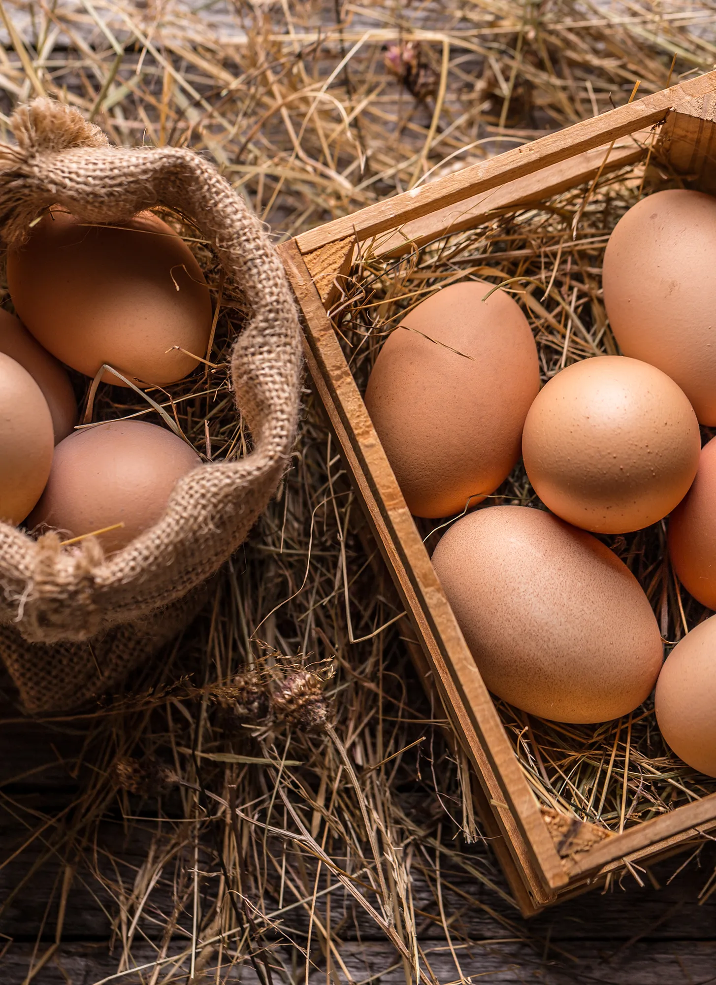 계란-흰자에는-레우신이라는-필수-아미노산이-풍부