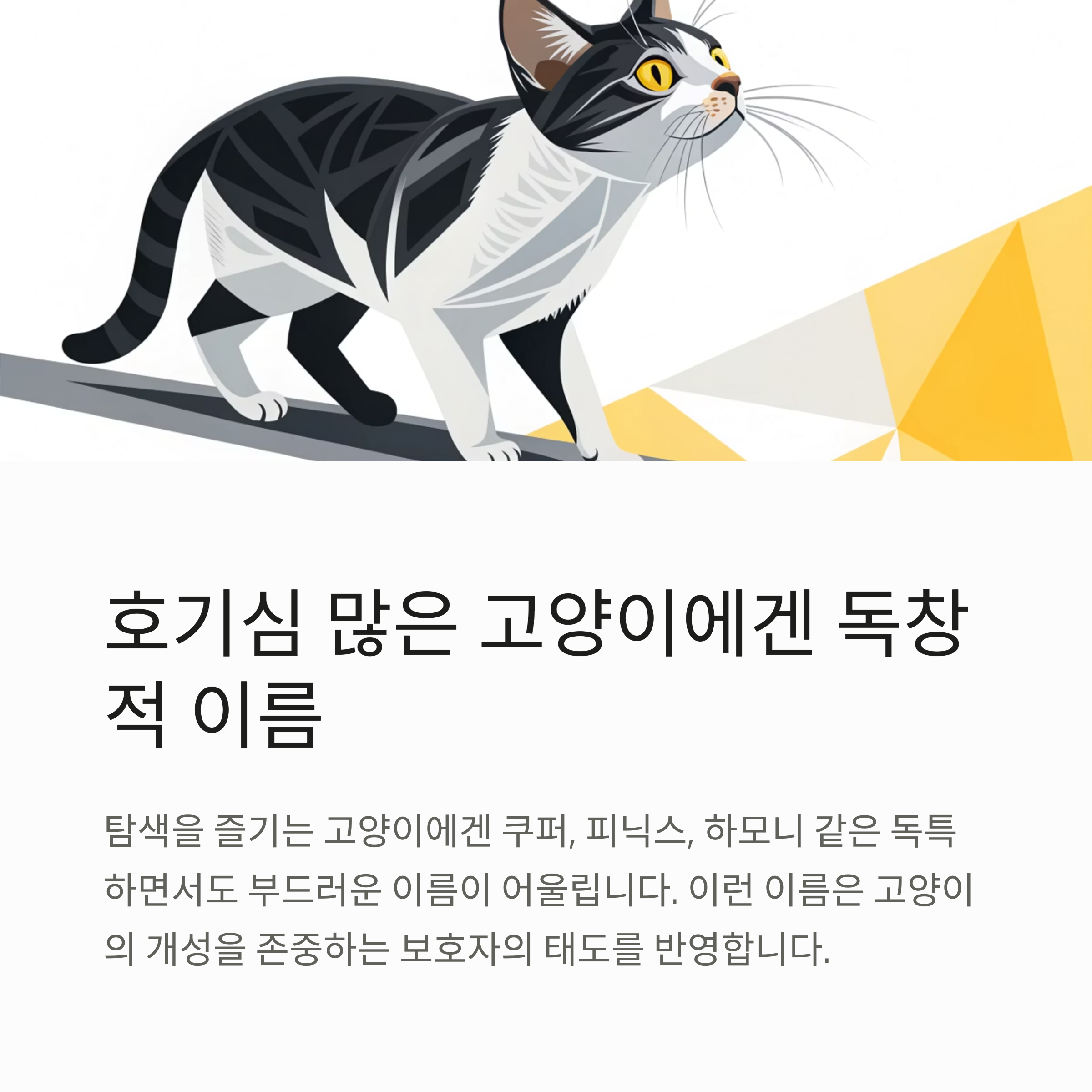 호기심 많은 고양이에게는 독창적 이름