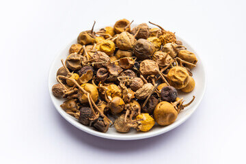 까마중 효능과 부작용&amp;#44; 안토시아닌이 풍부합니다. 그래서 효능이 매우 다양한데요. 까마중을 모르는 사람들도 많이 있습니다. 포도알처럼 생겼지만 까마중은 혈관부터 피부까지 효능이 매우 다양합니다. 블루베리보다 항산화 효능이 높은 까마중은 무엇일까요?