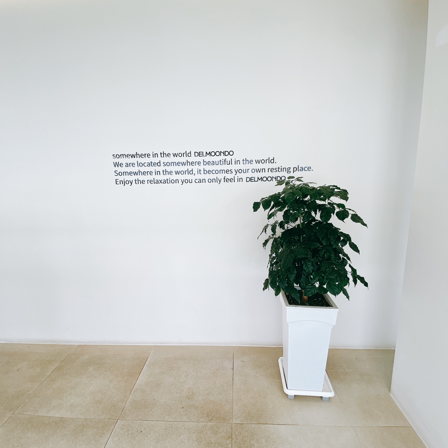 제주 구좌 김녕해수욕장 카페 델문도 김녕점