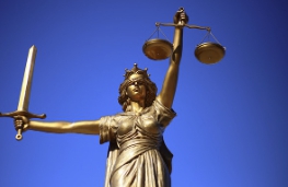 신평 변호사 프로필