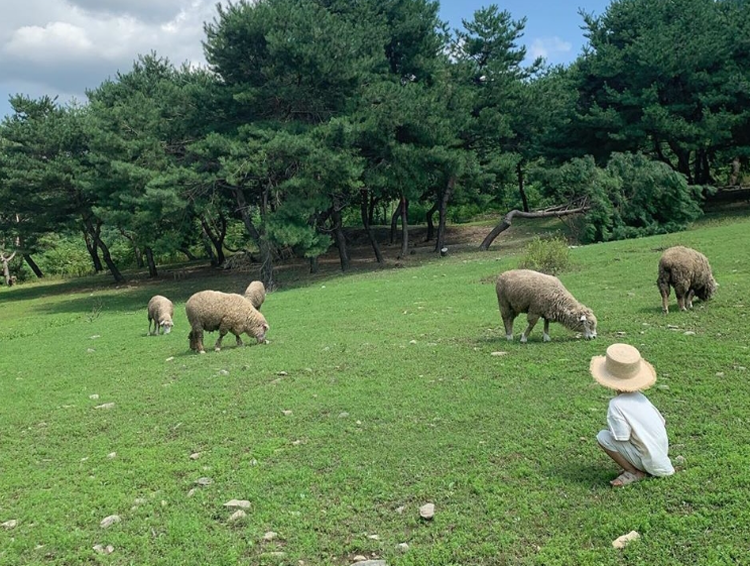 해피초원목장