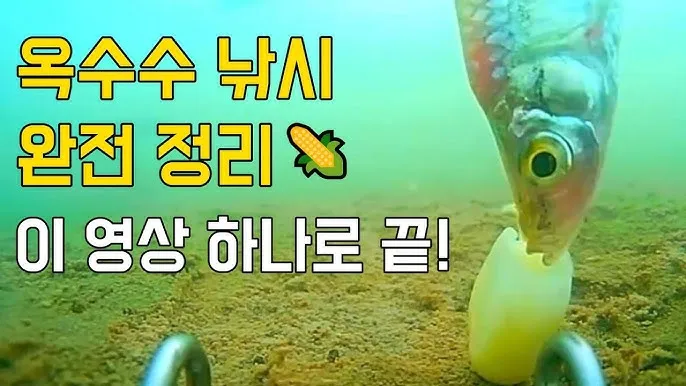 낚시 고수들이 말하는 붕어 잉어 향어 민물낚시 비법_8