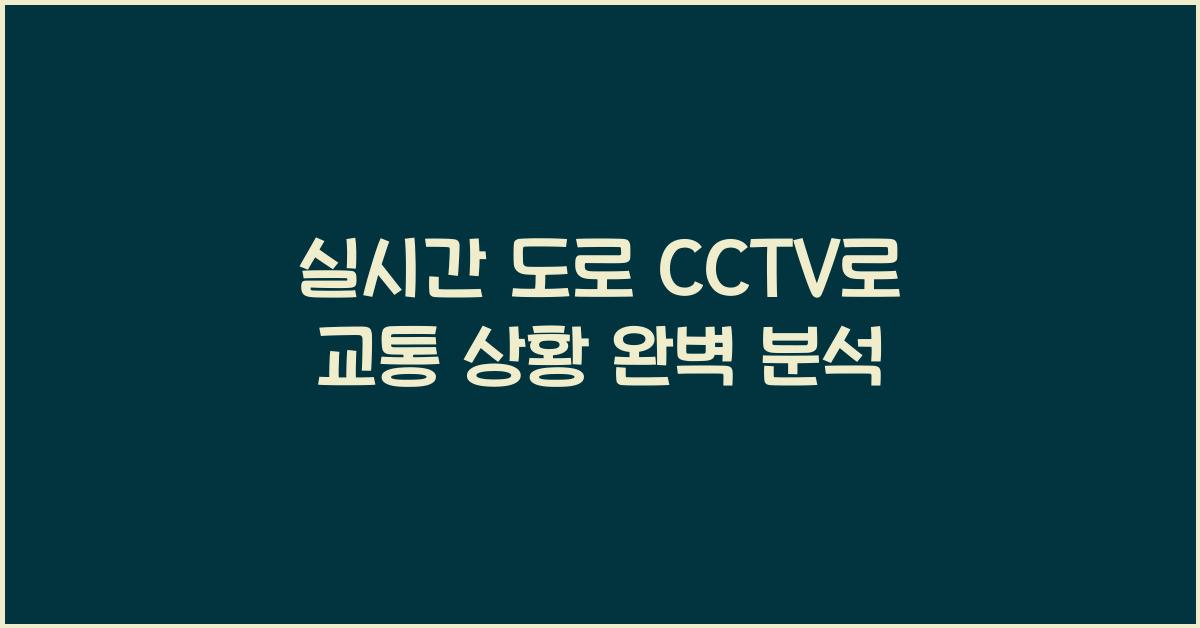 실시간 도로 cctv